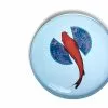 Gangzai Fishkoi Round Tray 1 Gangzai Fishkoi Round Tray -TwentyTwentyOne Shop Gangzai Fishkoi round tray