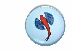 Gangzai Fishkoi Round Tray
