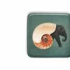 Gangzai Shellephant Square Tray -TwentyTwentyOne Shop Gangzai Shellephant square tray 37531519 8340 4ecd 8002 4803829955f2
