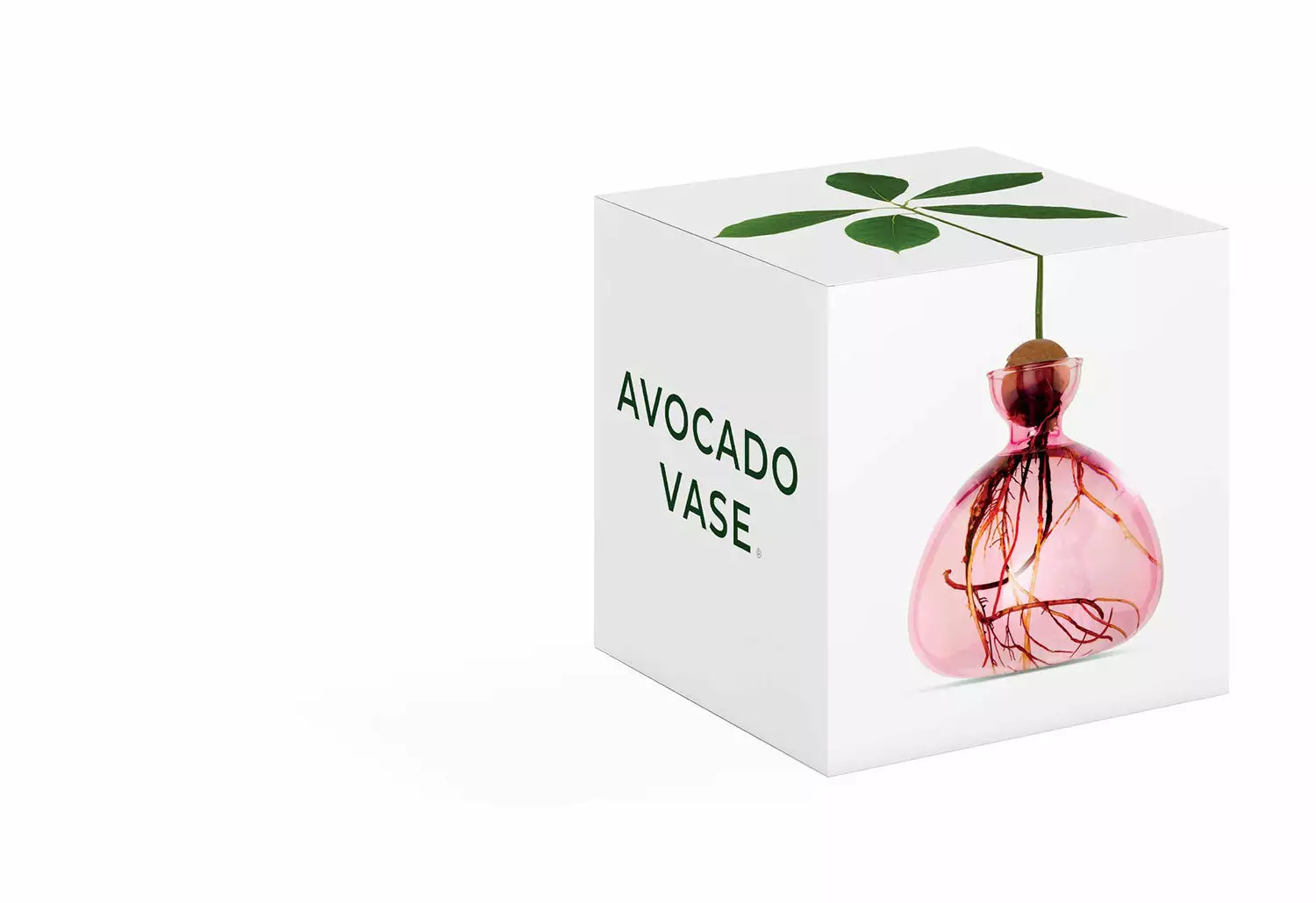 Ilex Studio Avocado Vase 6 Ilex Studio Avocado Vase - Image 4