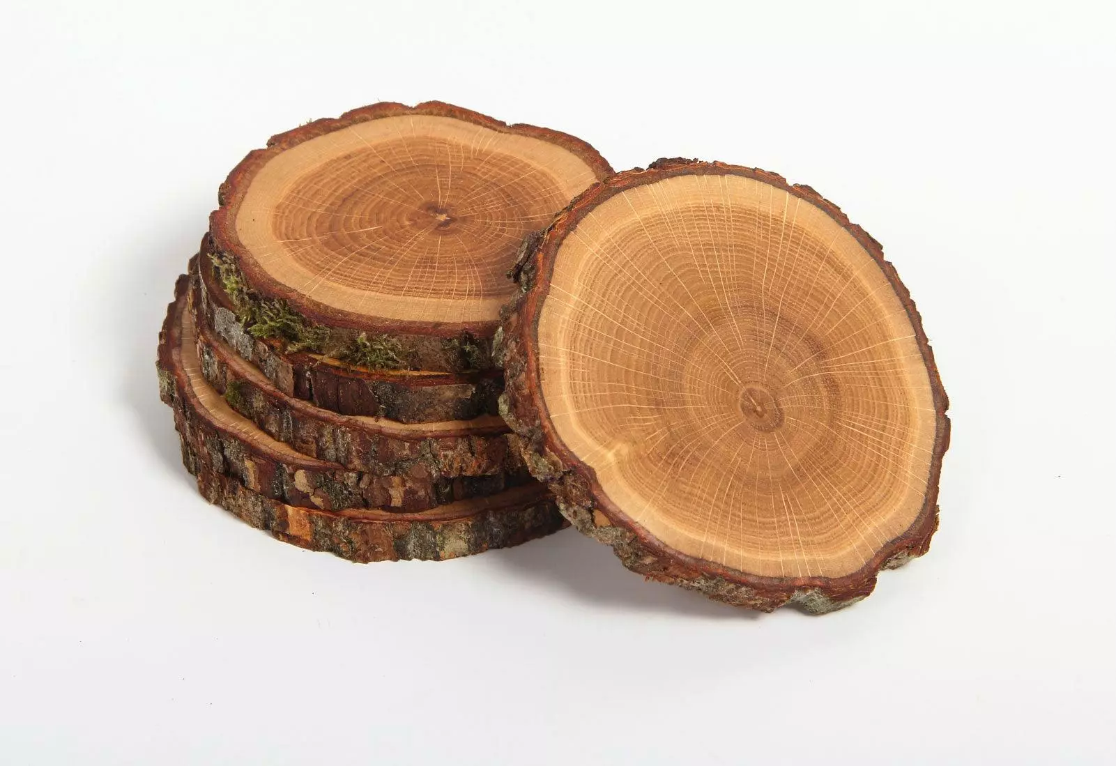 Rio Lindo Tree 4 Tea Coasters, 2017 3 Rio Lindo Tree 4 Tea Coasters, 2017