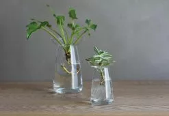 Kinto Aqua Culture Vase 9 Kinto Aqua Culture Vase -TwentyTwentyOne Shop Kinto aqua culture 2