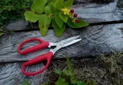 Alternative view of Niwaki Utility Scissors