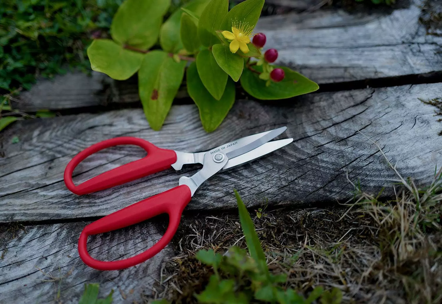 Niwaki Utility Scissors 4 Niwaki Utility Scissors - Image 2