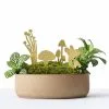 Another Studio Mini Plant Mushrooms, 2018 2 Another Studio Mini Plant Mushrooms, 2018 -TwentyTwentyOne Shop another studio mini mushrooms 2