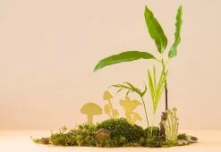 Another Studio Mini Plant Mushrooms, 2018 7 Another Studio Mini Plant Mushrooms, 2018 -TwentyTwentyOne Shop another studio mini mushrooms 3