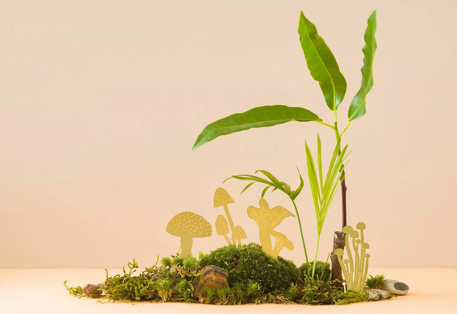 Another Studio Mini Plant Mushrooms, 2018 5 Another Studio Mini Plant Mushrooms, 2018 - Image 3