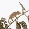 Another Studio Plant Animals, 2018 2 Another Studio Plant Animals, 2018 -TwentyTwentyOne Shop another studio plant animals