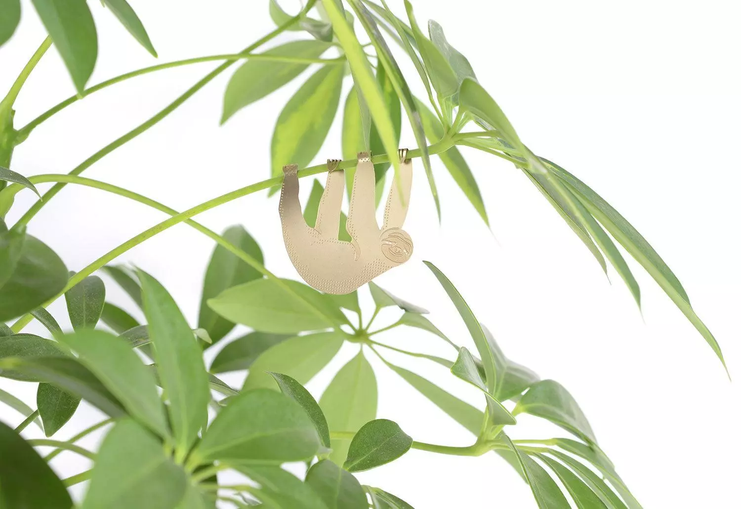 Another Studio Plant Animals, 2018 5 Another Studio Plant Animals, 2018 - Image 3