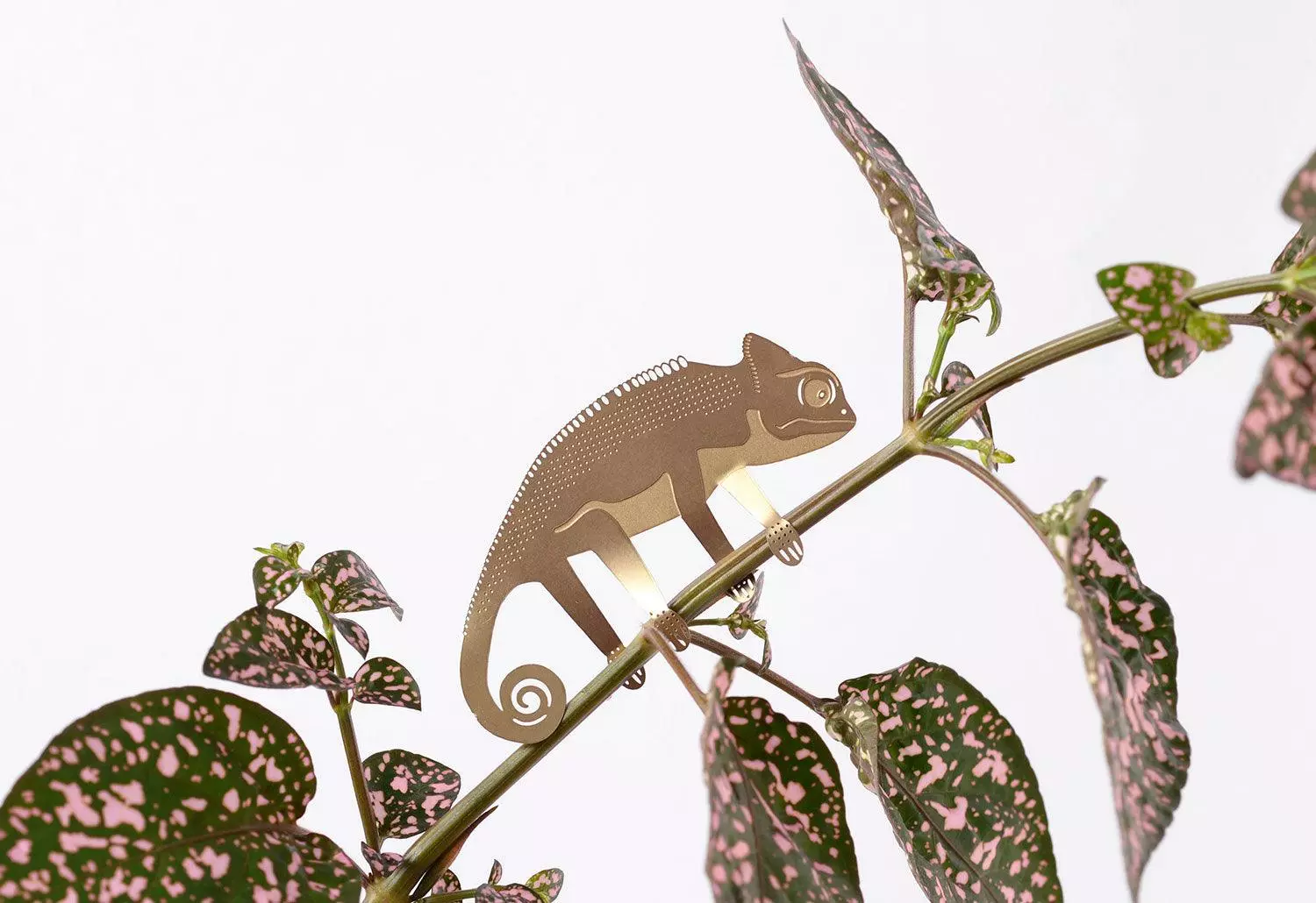 Another Studio Plant Animals, 2018 3 Another Studio Plant Animals, 2018