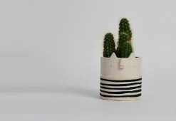 Atelier Stella Mini Cat Pot