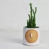 Atelier Stella Small Harvest Moon Pot 2 Atelier Stella Small Harvest Moon Pot -TwentyTwentyOne Shop attelia stella moon pot 1