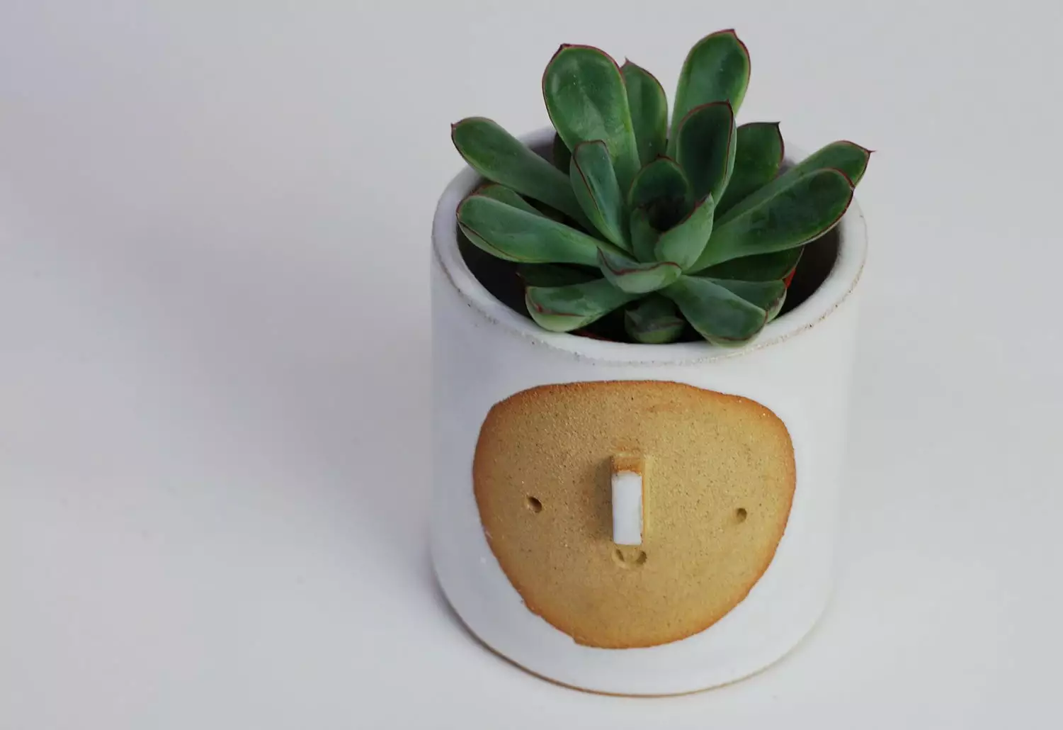 Atelier Stella Small Harvest Moon Pot 4 Atelier Stella Small Harvest Moon Pot - Image 2
