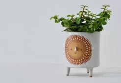 Alternative view of Atelier Stella Sun Tripod Planter