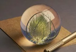 Hafod Grange Teasel Paperweight