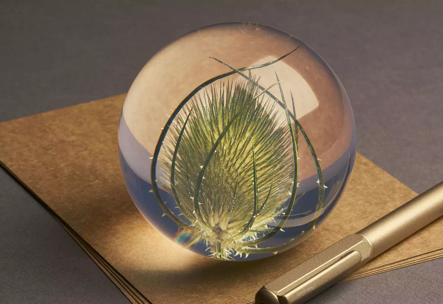 Hafod Grange Teasel Paperweight 3 Hafod Grange Teasel Paperweight