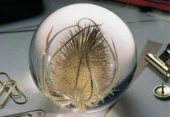 Alternative view of Hafod Grange Teasel Paperweight