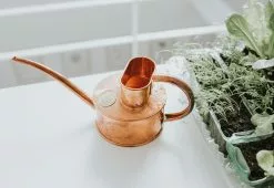 Hâws Fazeley Flow Copper Watering Can -TwentyTwentyOne Shop haws fazeley flow watering can copper 3