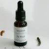 Homework The Woods Essential Oil Blend