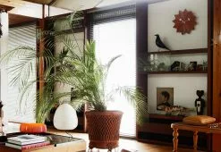 Vitra Eames House Bird, 1950 14 Vitra Eames House Bird, 1950 -TwentyTwentyOne Shop house bird vitra twentytwentyone 1