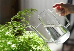 Ichendorf Milano Boboli Watering Jug