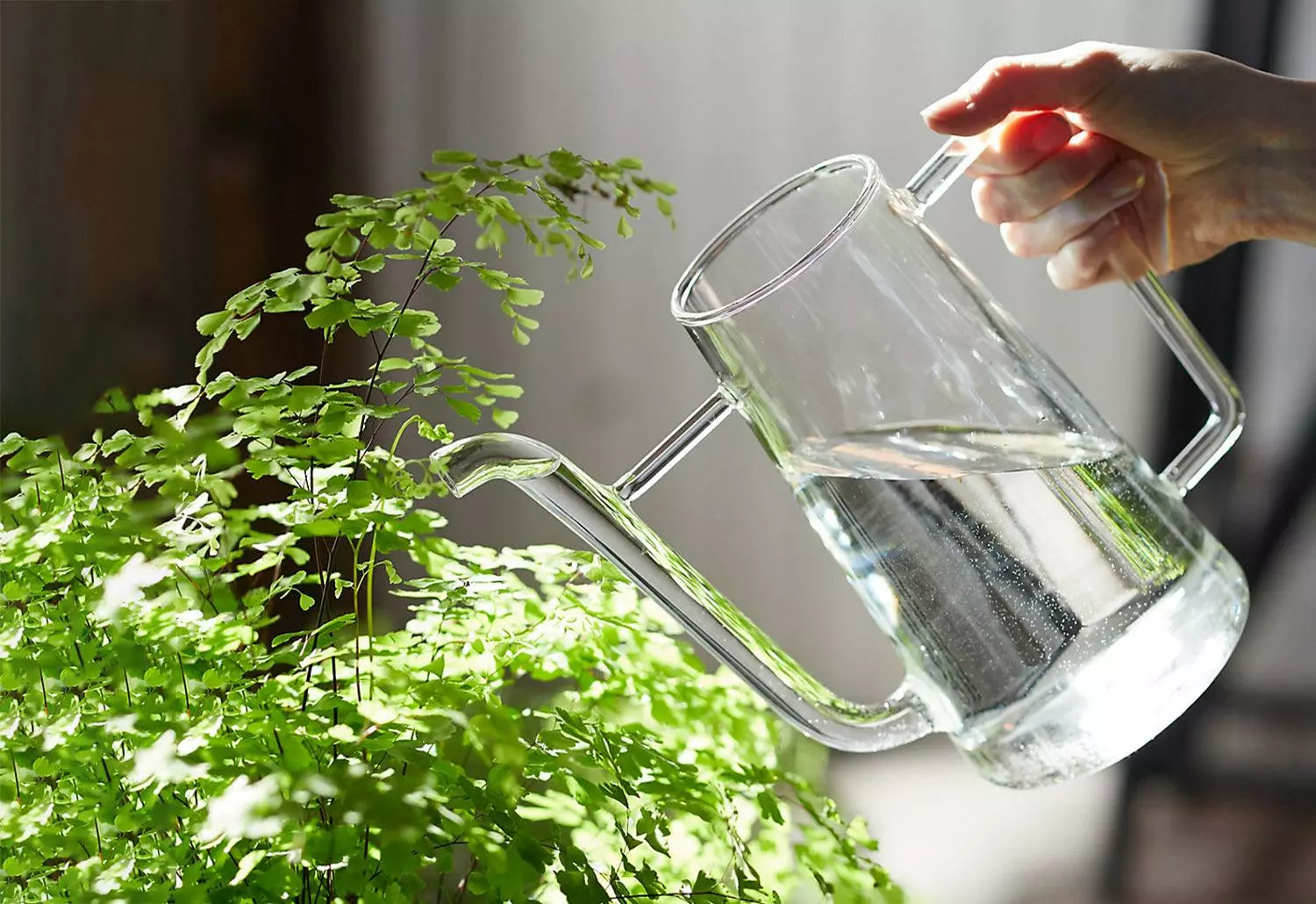 Ichendorf Milano Boboli Watering Jug 3 Ichendorf Milano Boboli Watering Jug