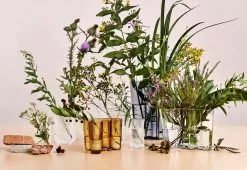 Iittala Alvar Aalto Vase 11 Iittala Alvar Aalto Vase -TwentyTwentyOne Shop iittala aalto vase clear 2
