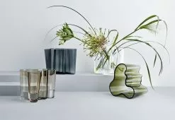 Iittala Alvar Aalto Vase 10 Iittala Alvar Aalto Vase -TwentyTwentyOne Shop iittala aalto vase clear 98 2 7ca7d1f7 4efb 41f7 96f6 f9f1a8e68cd7