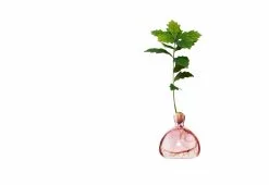 Alternative view of Ilex Studio Acorn Vase