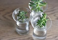 Kinto Aqua Culture Vase 11 Kinto Aqua Culture Vase -TwentyTwentyOne Shop kito aqua culture vase 6