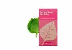 Piccolo Cocktail Herb Seed Collection -TwentyTwentyOne Shop piccolo cocktail herb collection 3