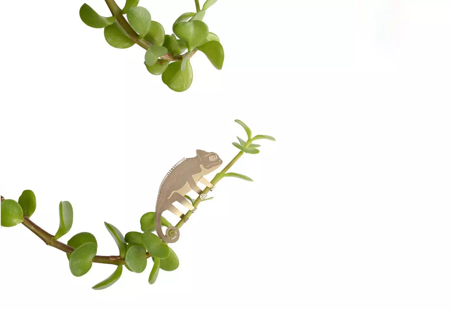 Another Studio Plant Animals, 2018 7 Another Studio Plant Animals, 2018 - Image 5