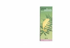 Another Studio Plant Animals, 2018 22 Another Studio Plant Animals, 2018 -TwentyTwentyOne Shop plant animals chameleon 1