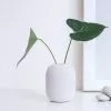Studio Macura SUVO Vase, 2019 1 Studio Macura SUVO Vase, 2019 -TwentyTwentyOne Shop suvo vase 1 377441d8 fe55 4191 9a88 6ccfcf0d646b