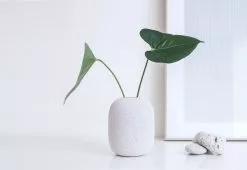 Studio Macura SUVO Vase, 2019