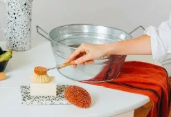 Alternative view of Andree Jardin Dishwashing Brush