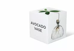 Ilex Studio Avocado Vase 8 Ilex Studio Avocado Vase -TwentyTwentyOne Shop twentytwentyone Ilex Studio 1