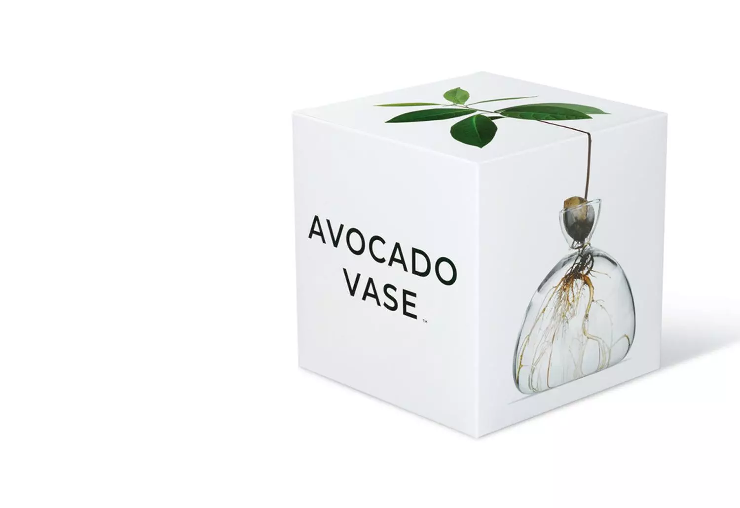 Ilex Studio Avocado Vase 5 Ilex Studio Avocado Vase - Image 3