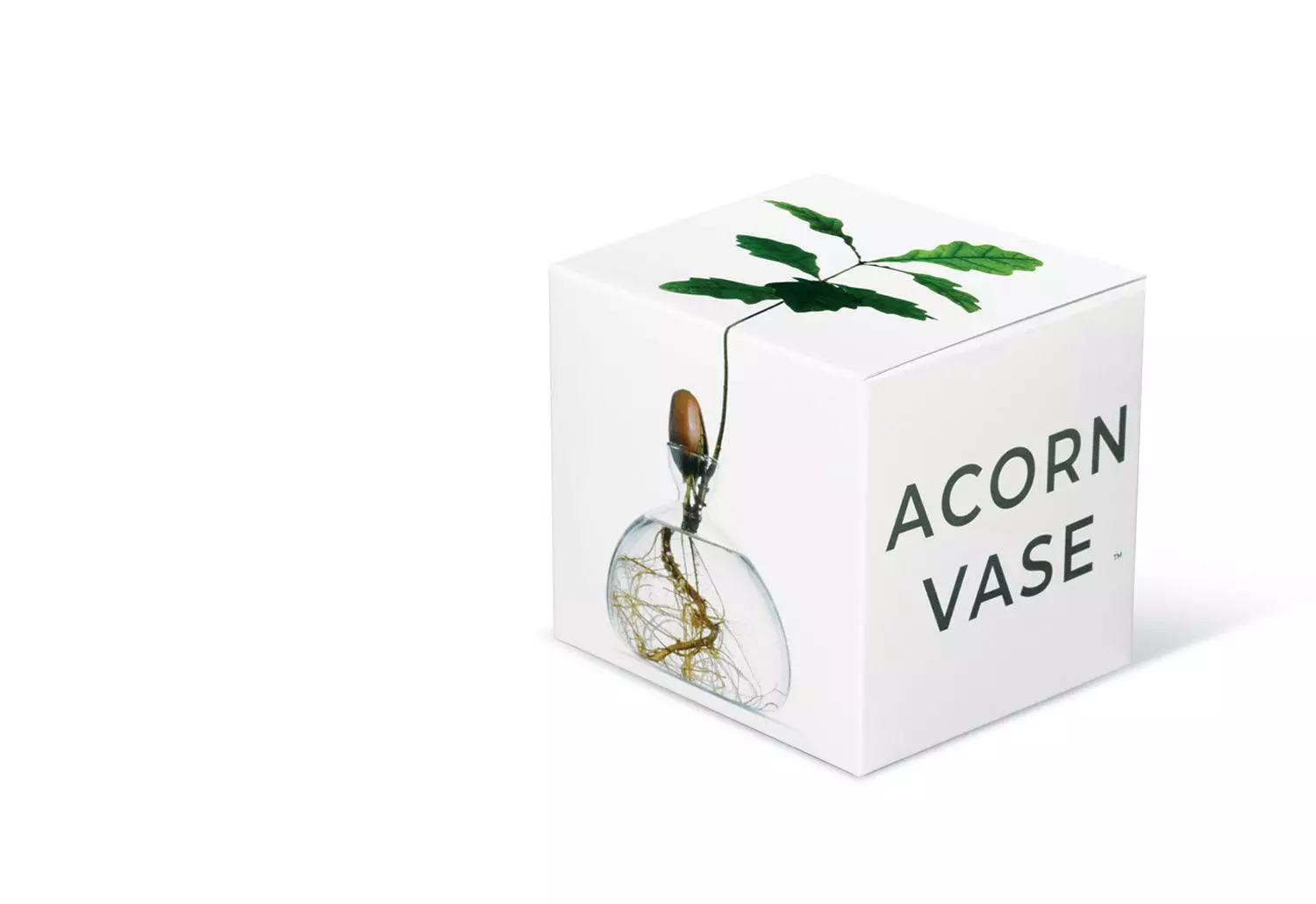 Ilex Studio Acorn Vase 5 Ilex Studio Acorn Vase - Image 3