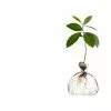 Ilex Studio Avocado Vase 1 Ilex Studio Avocado Vase -TwentyTwentyOne Shop twentytwentyone Ilex Studio 4