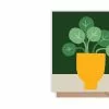 Kiran Ravilious Penny Yellow Plant Pot Card 1 Kiran Ravilious Penny Yellow Plant Pot Card -TwentyTwentyOne Shop twentytwentyone Kiran Ravilious Penny Yellow Card 75deba02 9000 4683 b589 8c5f8e71f2fc