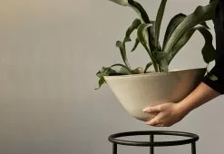 Menu Daiza Planter, 2023 19 Menu Daiza Planter, 2023 -TwentyTwentyOne Shop twentytwentyone Menu Daiza Planter 1