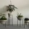 Menu Daiza Planter, 2023 2 Menu Daiza Planter, 2023 -TwentyTwentyOne Shop twentytwentyone Menu Daiza Planter 3