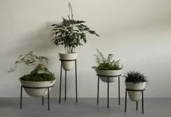 Menu Daiza Planter, 2023