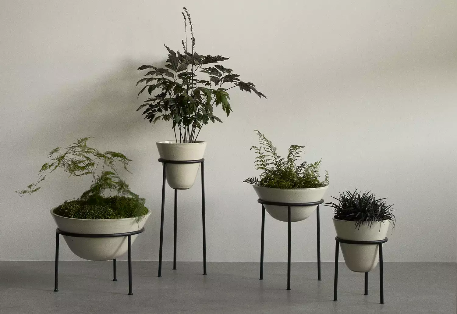 Menu Daiza Planter, 2023 3 Menu Daiza Planter, 2023