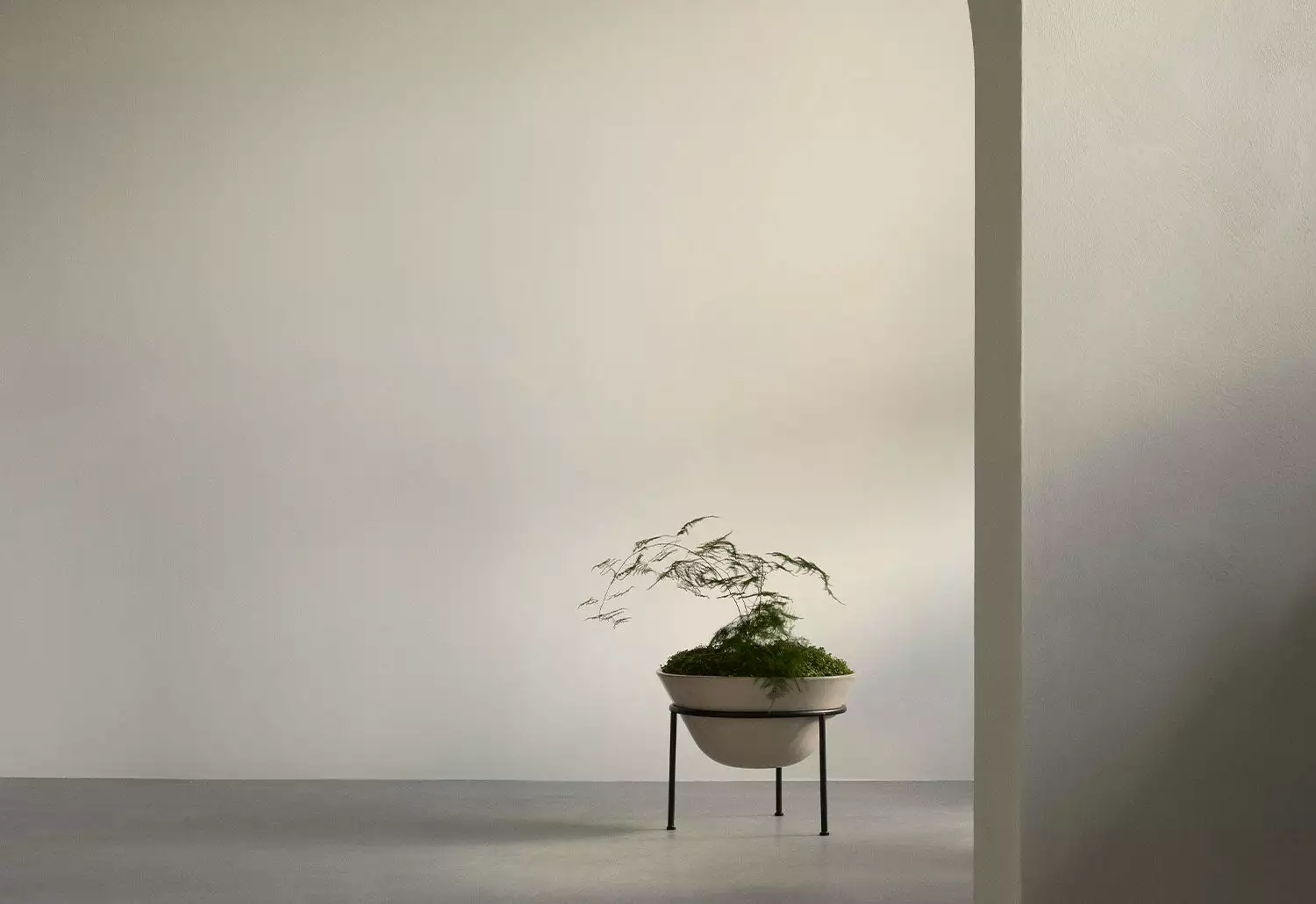 Menu Daiza Planter, 2023 11 Menu Daiza Planter, 2023 - Image 9