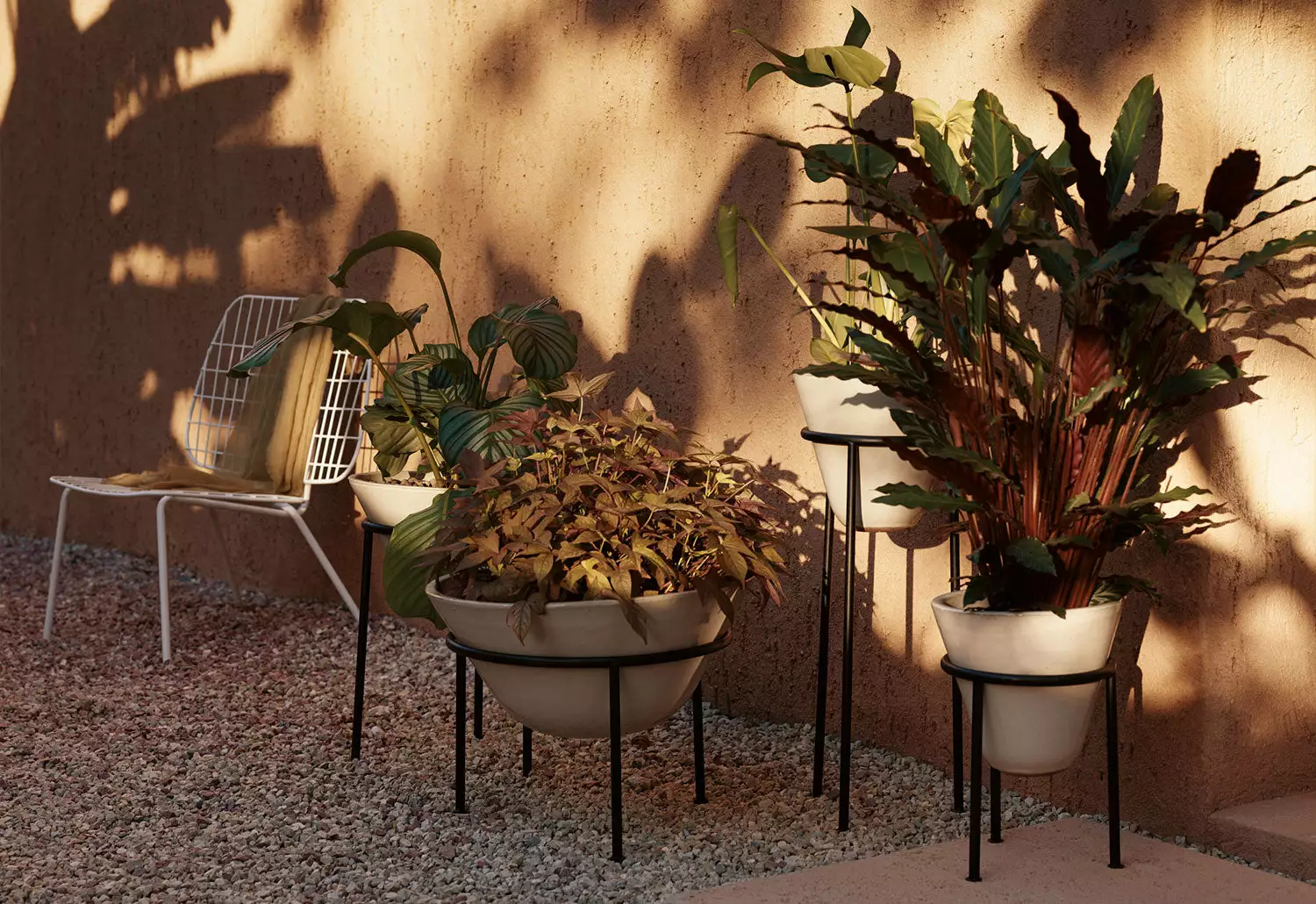 Menu Daiza Planter, 2023 14 Menu Daiza Planter, 2023 - Image 12