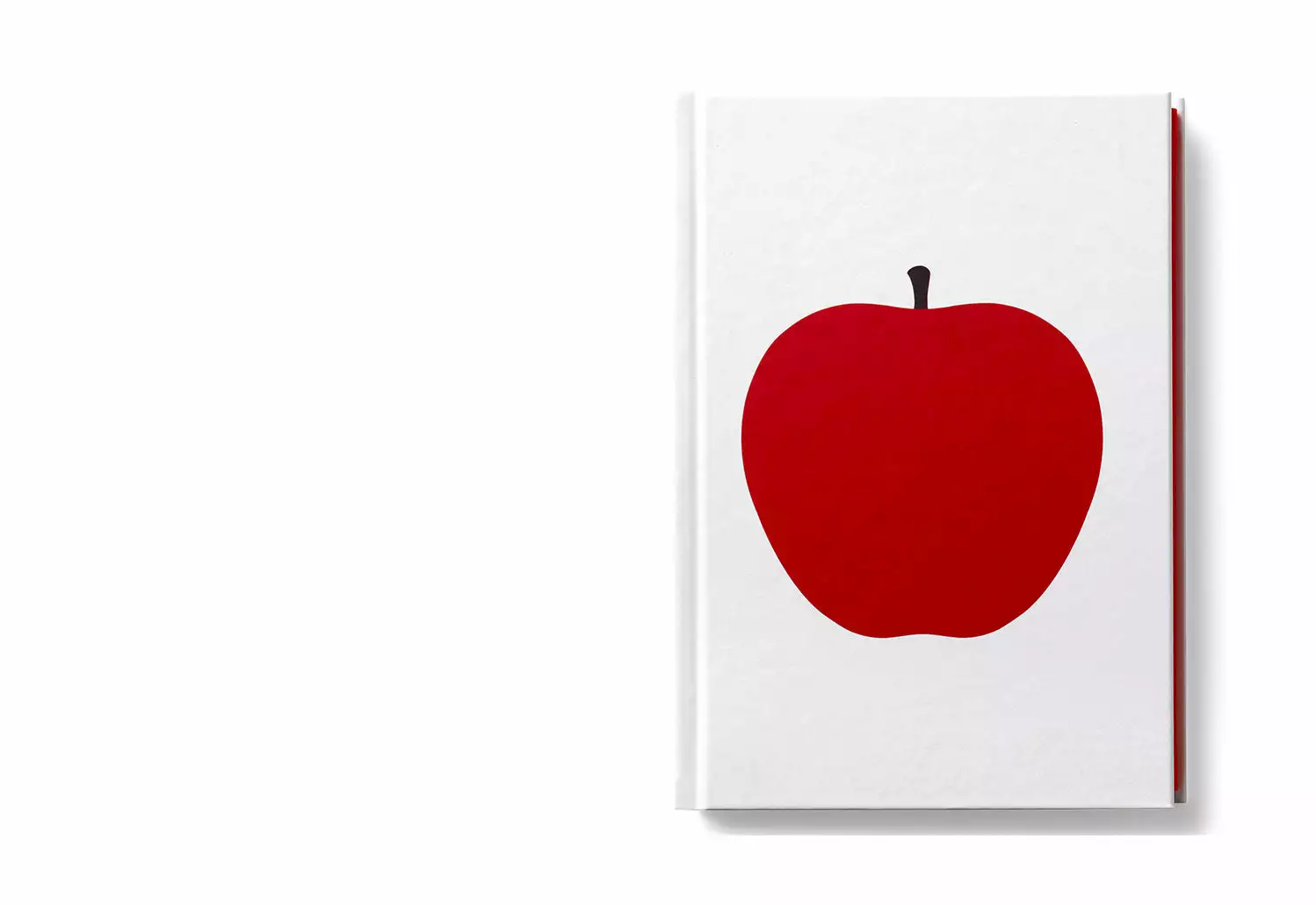 DANESE Hardcover Apple Notebook 3 DANESE Hardcover Apple Notebook