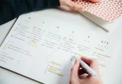 Alternative view of Ola Studio Desktop Pad Weekly Planner