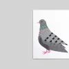 Scout Editions Pigeon Mini Card 1 Scout Editions Pigeon Mini Card -TwentyTwentyOne Shop twentytwentyone scout editions pigeon mini card 1